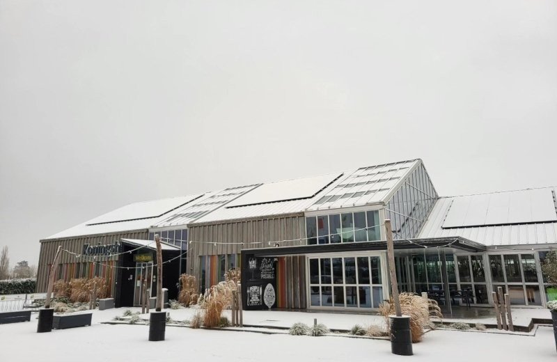 Vakantiepark koningshof hiver et neige au camping 2