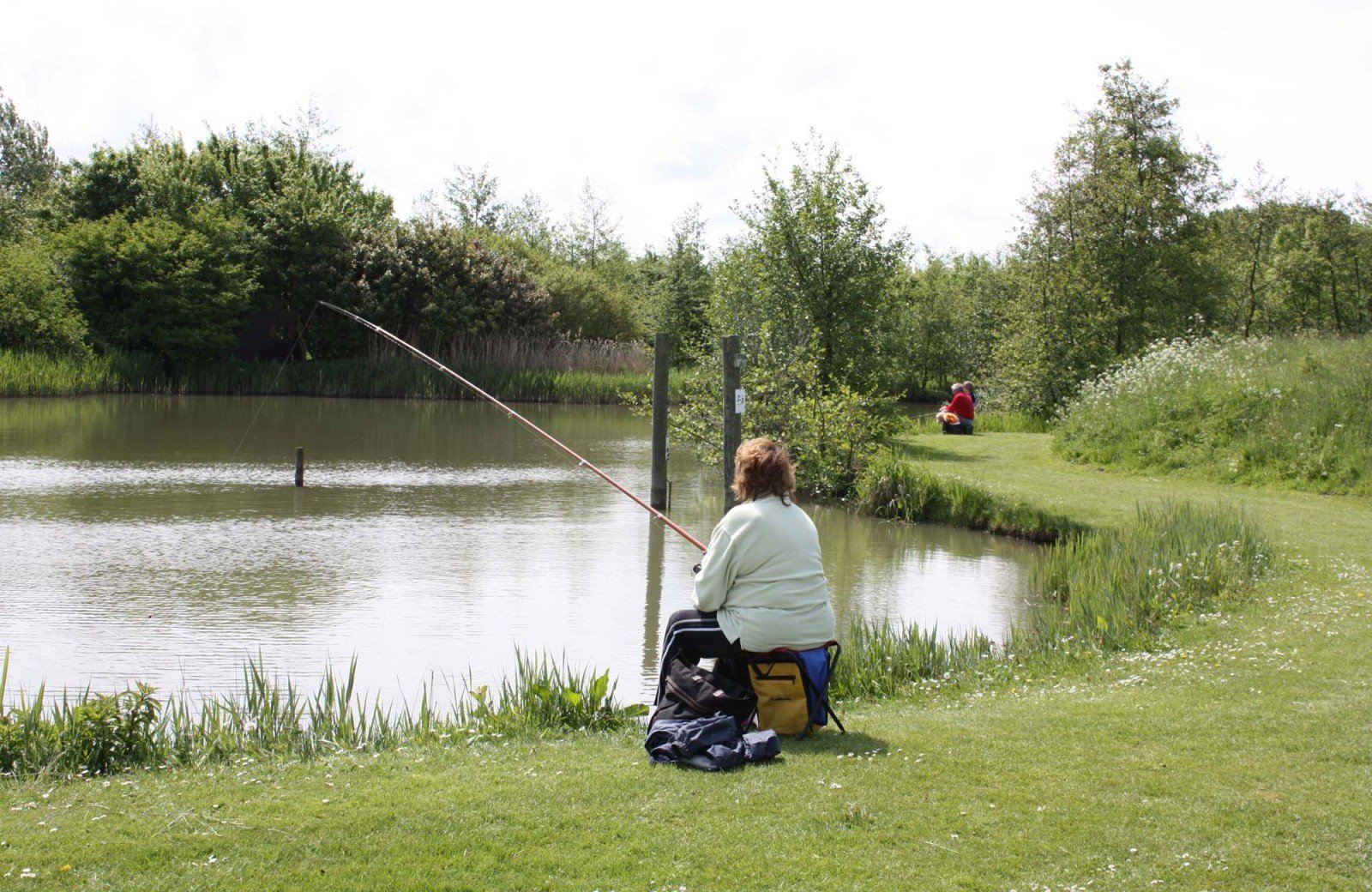 Visvijver | Vakantiepark Koningshof | Vakantiepark Koningshof